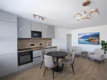 Prodej bytu 3+kk, Karlovy Vary - Drahovice, Východní, 61 m2