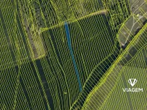 Prodej podílu pole, Bučovice, 619 m2