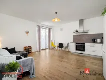 Pronájem bytu 2+kk, Kladno - Kročehlavy, Jaroslava Holečka, 50 m2