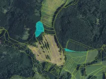 Prodej lesa, Drozdov, 11901 m2