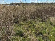 Prodej pole, Dolní Bousov, 11084 m2