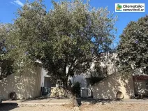 Prodej bytu 2+kk, Gajac, Chorvatsko, 43 m2