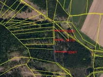 Prodej lesa, Otín, 829 m2