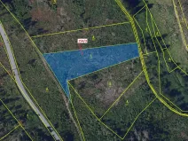 Dražba lesa, Žižkovo Pole, 5060 m2