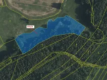 Dražba louky, Strmilov, 11093 m2