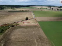 Prodej pozemku, Sýkořice, 3943 m2