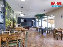 Prodej restaurace, Slezské Rudoltice, 360 m2
