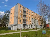 Prodej bytu 3+1, Stříbro, Brožíkova, 56 m2
