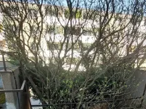 Dražba pozemku, Brno, 30 m2