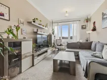 Prodej bytu 3+1, Plumlov, Lesnická, 57 m2