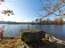 Prodej pozemku pro bydlení, Vrchotovy Janovice, 157355 m2