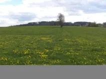 Prodej pozemku, Staré Město - Nová Véska, 10063 m2