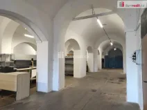 Pronájem komerční nemovitosti, Opava - Předměstí, Vančurova, 500 m2