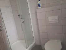 Pronájem bytu 1+kk, Chotěšov, Ořechová, 38 m2