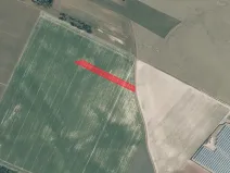 Prodej pole, Kostelní Hlavno, 19238 m2