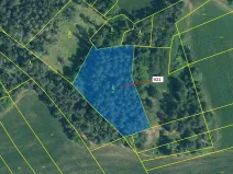 Dražba lesa, Kovčín, 4401 m2