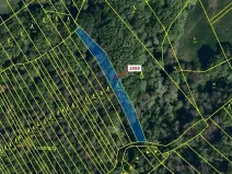 Dražba lesa, Kelníky, 1160 m2