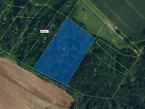 Dražba lesa, Přešovice, 4115 m2