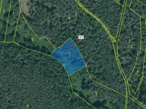 Dražba lesa, Jesenice, 1924 m2