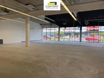 Pronájem obchodního prostoru, České Budějovice - České Budějovice 2, České Vrbné, 477 m2