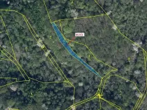 Dražba lesa, Zubrnice, 815 m2