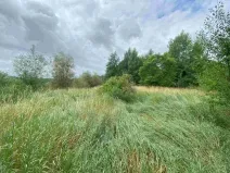 Dražba louky, Aš, 2675 m2