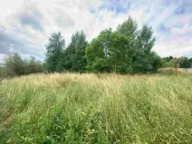 Dražba louky, Aš, 2675 m2