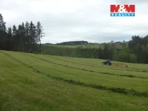 Prodej louky, Vysoká Srbská, 26000 m2