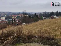 Prodej pozemku pro bydlení, Luka nad Jihlavou, 22730 m2