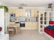 Pronájem bytu 1+kk, Praha - Hloubětín, Modrého, 34 m2