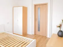 Pronájem bytu 2+kk, Praha - Žižkov, Pod lipami, 54 m2