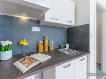 Pronájem bytu 1+kk, Praha - Břevnov, Na břevnovské pláni, 18 m2