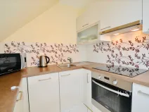 Pronájem pokoje, Praskačka, 24 m2