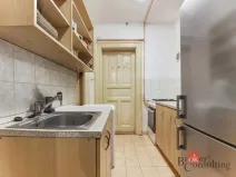 Prodej bytu 2+kk, Praha - Žižkov, Hartigova, 53 m2