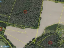 Prodej lesa, Maršovice - Zderadice, 23269 m2