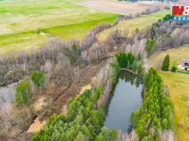 Prodej rybníku, Dvory nad Lužnicí, 8649 m2
