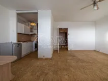 Prodej bytu 1+1, Praha - Bohnice, Poznaňská, 56 m2