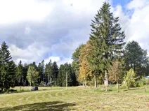 Prodej rodinného domu, Kořenov - Polubný, 150 m2