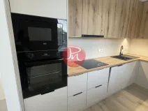Pronájem bytu 2+kk, Ostrava, Opavská, 50 m2