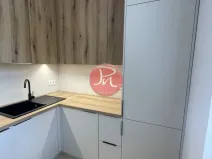 Pronájem bytu 2+kk, Ostrava, Opavská, 50 m2
