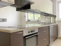 Pronájem bytu 2+1, Opava - Předměstí, náměstí Slezského odboje, 60 m2