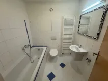 Pronájem bytu 2+kk, Olomouc, Wellnerova, 51 m2