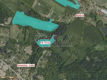 Prodej lesa, Velké Popovice, 19731 m2