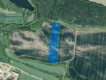 Prodej pole, Mašťov, 29043 m2