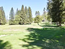 Prodej pozemku pro bydlení, Harrachov - Mýtiny, 17770 m2