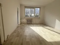 Pronájem bytu 1+kk, Praha - Chodov, Ledvinova, 31 m2