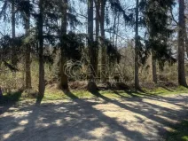 Prodej chaty, Libeř, 44 m2