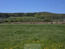 Prodej pozemku pro bydlení, Krnov - Krásné Loučky, 1000 m2