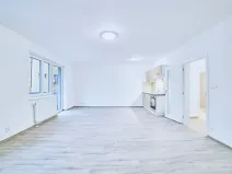 Pronájem bytu 1+kk, Plzeň, Železniční, 50 m2