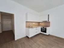Pronájem bytu 3+kk, Brno - Staré Brno, Pekařská, 60 m2